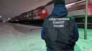 Мужчина погиб под колесами поезда на участке между станциями Глазов и Кожиль