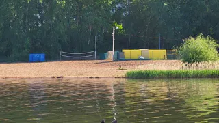 Плавающего лося достали с ижевского пруда