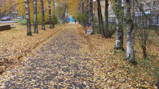 В Удмуртии на неделе потеплеет до +20 °C