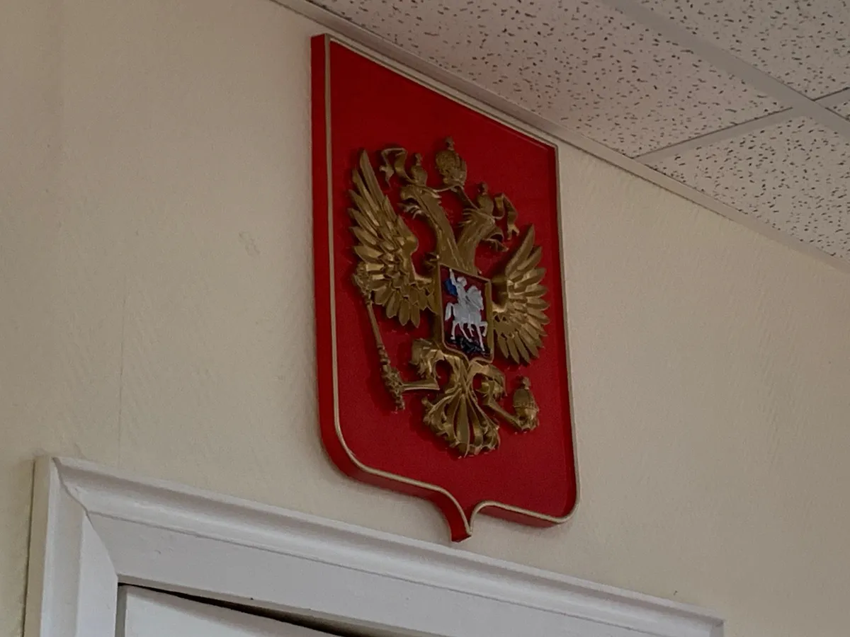 Браконьеры в Удмуртии застрелили медведицу и осиротили детенышей