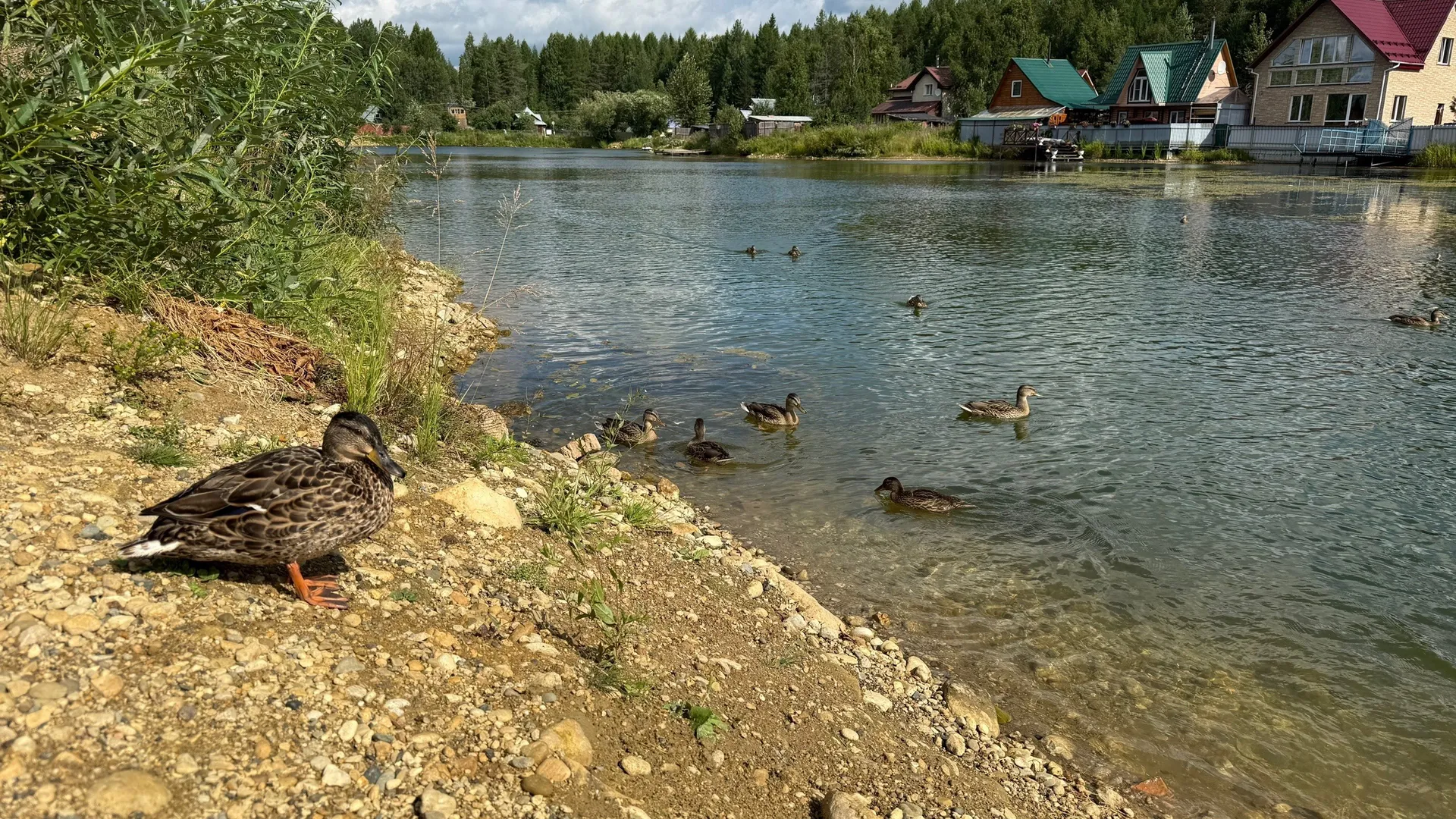 Погода в Удмуртии 11 августа принесёт тепло до 23 градусов