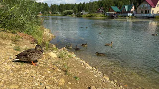 Погода в Удмуртии 11 августа принесёт тепло до 23 градусов