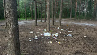 Свалку бетонных плит убрали в заказнике «Салинский» в Удмуртии