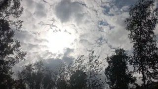 Бабье лето в Удмуртии подошло к концу