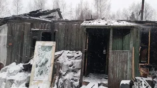 Порядка 2 тысяч цыплят погибли на пожаре в Удмуртии
