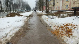 После спила деревьев в Глазове остался мусор на пешеходных дорожках