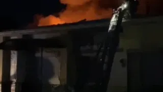 Три миллиона насекомых чуть не сгорели на пожаре в Ижевске
