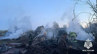 Три садовых дома, четыре бани и кладовая сгорели в Удмуртии