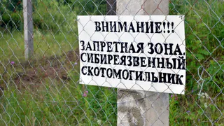 В Удмуртии подвели итоги обследования скотомогильников