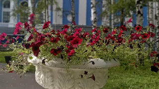 Погода в Глазове на 16 сентября