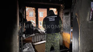 Мать с дочкой и мужчина погибли на пожаре в Удмуртии