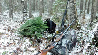 Пенсионер из Удмуртии получил год строгого режима за кражу ружья ИЖ-27 и 106 патронов у знакомого
