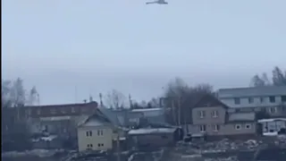 На замерзающем пруду села Завьялово жители увидели одинокого лебедя