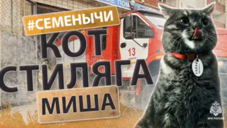 В пожарно-спасательной части Сарапула есть свой пушистый талисман