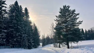 Погода в Глазове на 23 февраля