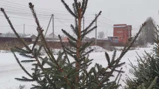 Погода в Глазове на 9 декабря