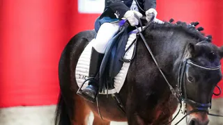 Спортсмены из Удмуртии показали успехи на Всероссийских соревнованиях всадниках на пони