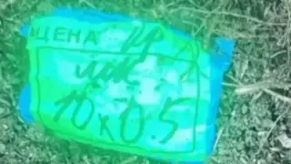 Беременная на девятом месяце женщина и ее судимый подельник попались с оптовой партией наркотиков в Удмуртии 