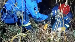 В Глазове на Чепце спасли собаку