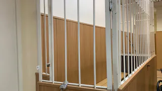 Бывший заключённый проник в квартиру жительницы Удмуртии и похитил два смартфона