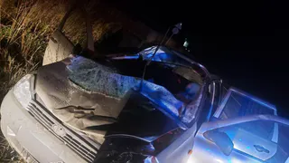 Трое человек пострадали в ДТП в Удмуртии из-за лося