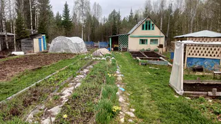 Со сходом снега покупаю 3 бутылки — и не мучаюсь, как соседи: на участке благодать всю весну