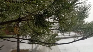 Температурные качели в Удмуртии продолжатся