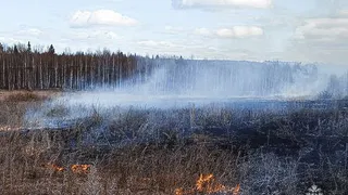 В Удмуртии - два случая горения травы за полдня