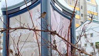 Погода в Удмуртии удивит перепадами температур: синоптики дали прогноз на неделю