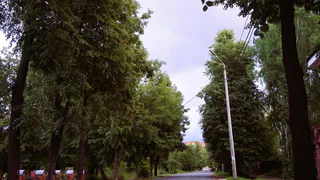 Погода в Глазове на 31 июля