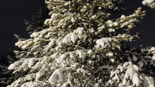 Погода в Глазове на 17 декабря