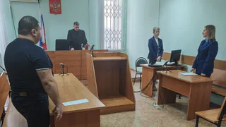 В Глазовском районе осудили местного жителя за незаконную вырубку деревьев