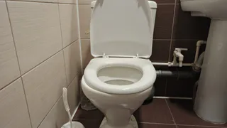 Уходя из дома, закидываю чайный пакетик в унитаз - полезная рекомендация опытной горничной