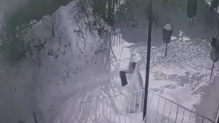В Удмуртии нашли воришку мобильных телефонов на сумму почти полмиллиона рублей (ВИДЕО)