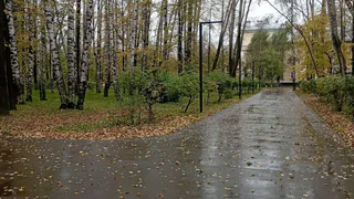 Со среды в Удмуртии резко похолодает