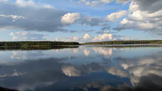 В Удмуртии после вмешательства прокуратуры в Каму выпустили более 9 тысяч мальков щуки