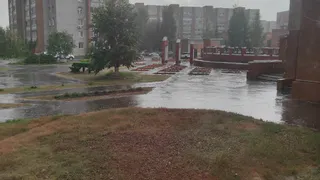 Удмуртию ждут дожди