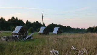 В Удмуртии должница по алиментам спряталась от приставов на сеновале