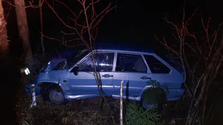 На трассе в Удмуртии водитель-новичок влетел в дерево