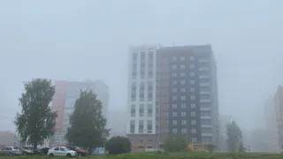 Прогноз погоды в Удмуртии на 21 июня: ожидается туман
