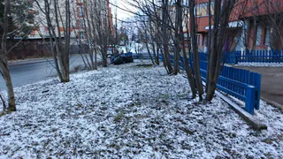 Нас ждет еще одна волна холодов и резкий прыжок в июльскую жару: Гидрометцентр изменил прогноз с 15 мая