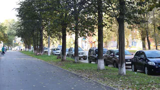 Новый объект благоустройства выберут в Глазове