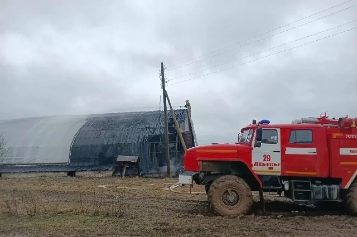 В Удмуртии при пожаре на ферме спасли 46 телят