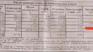 Жительнице Глазовского района насчитали 17 тысяч рублей долга за полив огорода