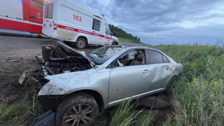 Водитель иномарки погиб после наезда на лося в Удмуртии