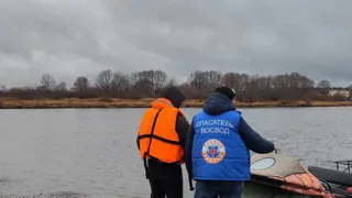 В Сарапуле проходят оперативные мероприятия по установлению причин гибели перелетных птиц
