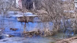 Удмуртия освобождается от воды: прогноз МЧС на ближайшие дни обнадеживает