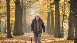 В лесу Ярского района потерялся 87-летний пенсионер