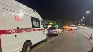Водитель отечественной легковушки насмерть сбил пешехода на трассе в Удмуртии