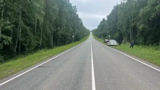 Пьяный водитель мотоблока опрокинулся на трассе в Удмуртии